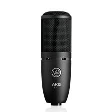 AKG P120 High-Performance General Purpose Recording