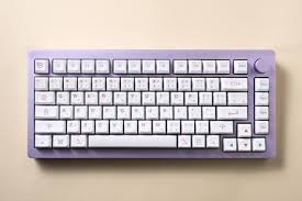 AKKO Barebones - MonsGeek M1 Purple