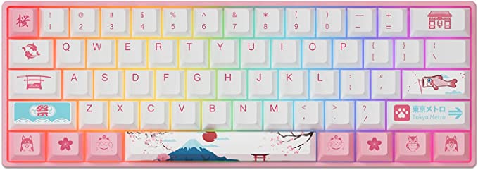 AKKO Keyboard RGB Hotswap 3mode - 3068B World Tour Tokyo R2 CS Jelly White Switch