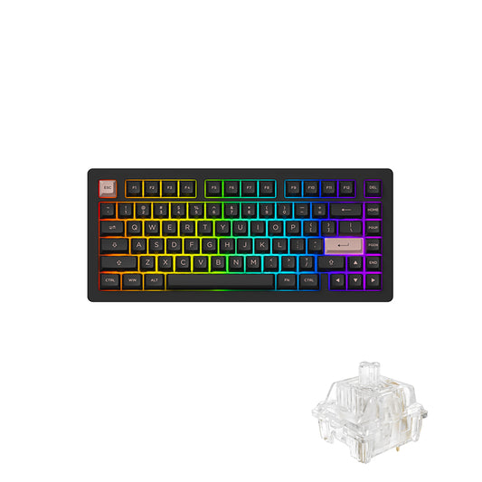 AKKO Keyboard - ACR PRO 75 Bundle ( CS Crystal Linear + BoW Caps)